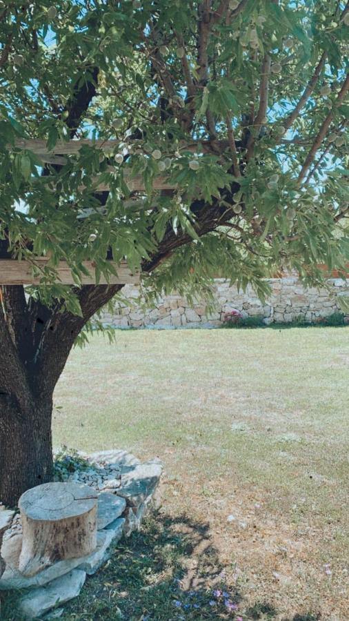 Appartamento Velebit Ražanac Esterno foto